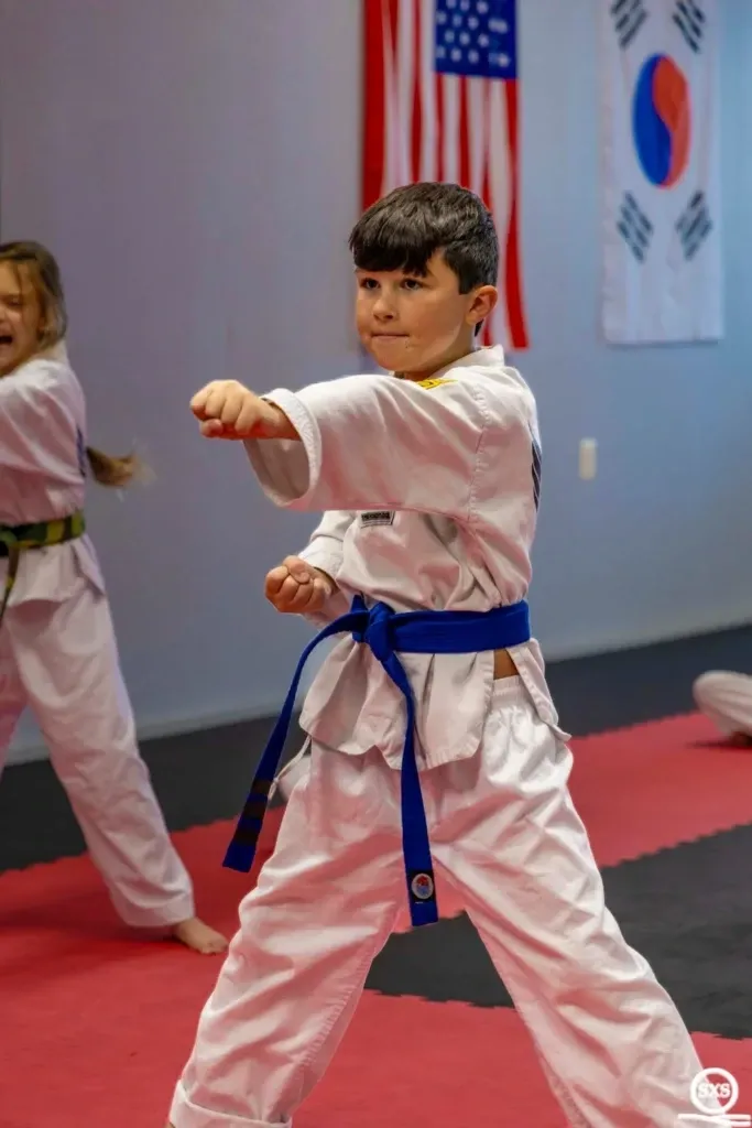 Taekwondo Classes For Kids